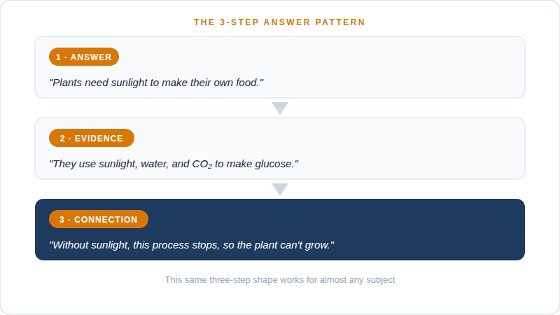 Diagram of the 3-step exam answer pattern: state your answer, add evidence, then connect it back to the question